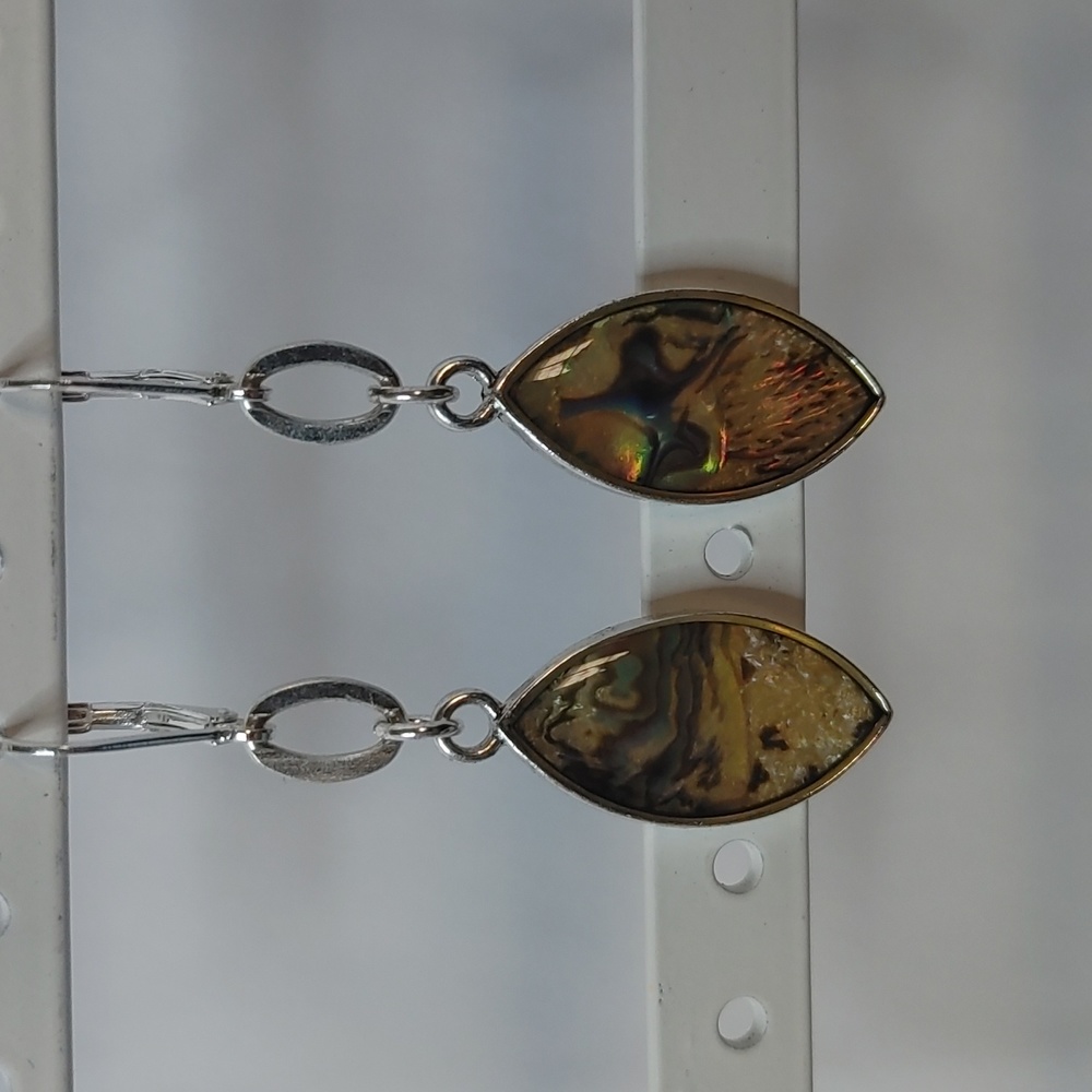 Premier Designs Monterey Earrings